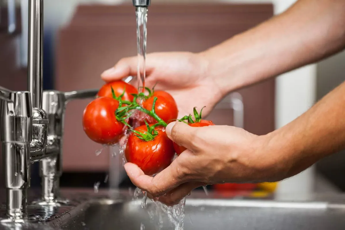 Warum das waschen von tomaten unverzichtbar ist